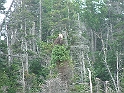 NFLD_drive_to_and-viking_settlement 700
